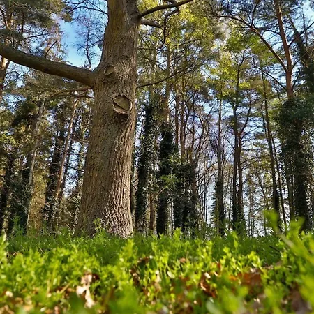 Schafberg Apartment Middelhagen