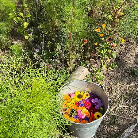 Apartment Schafberg Middelhagen