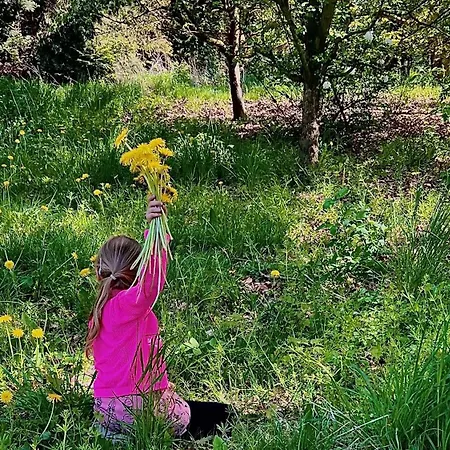 Schafberg * Middelhagen